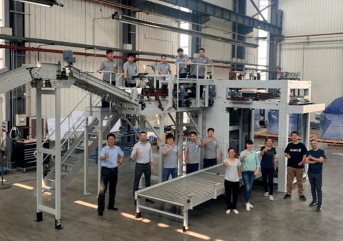 效率更高服務(wù)更方便 哈沃科技haver碼垛機實現(xiàn)國產(chǎn)化